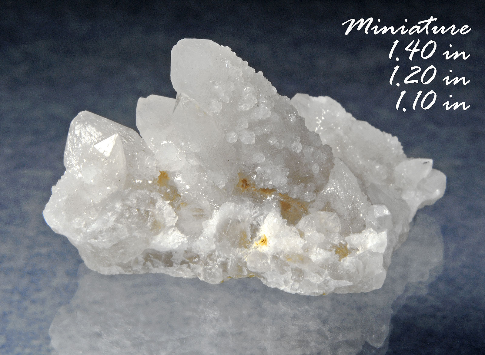 Kaktus Quarz Sdafrika Mineralien Kristalle Gems-Min | eBay.de